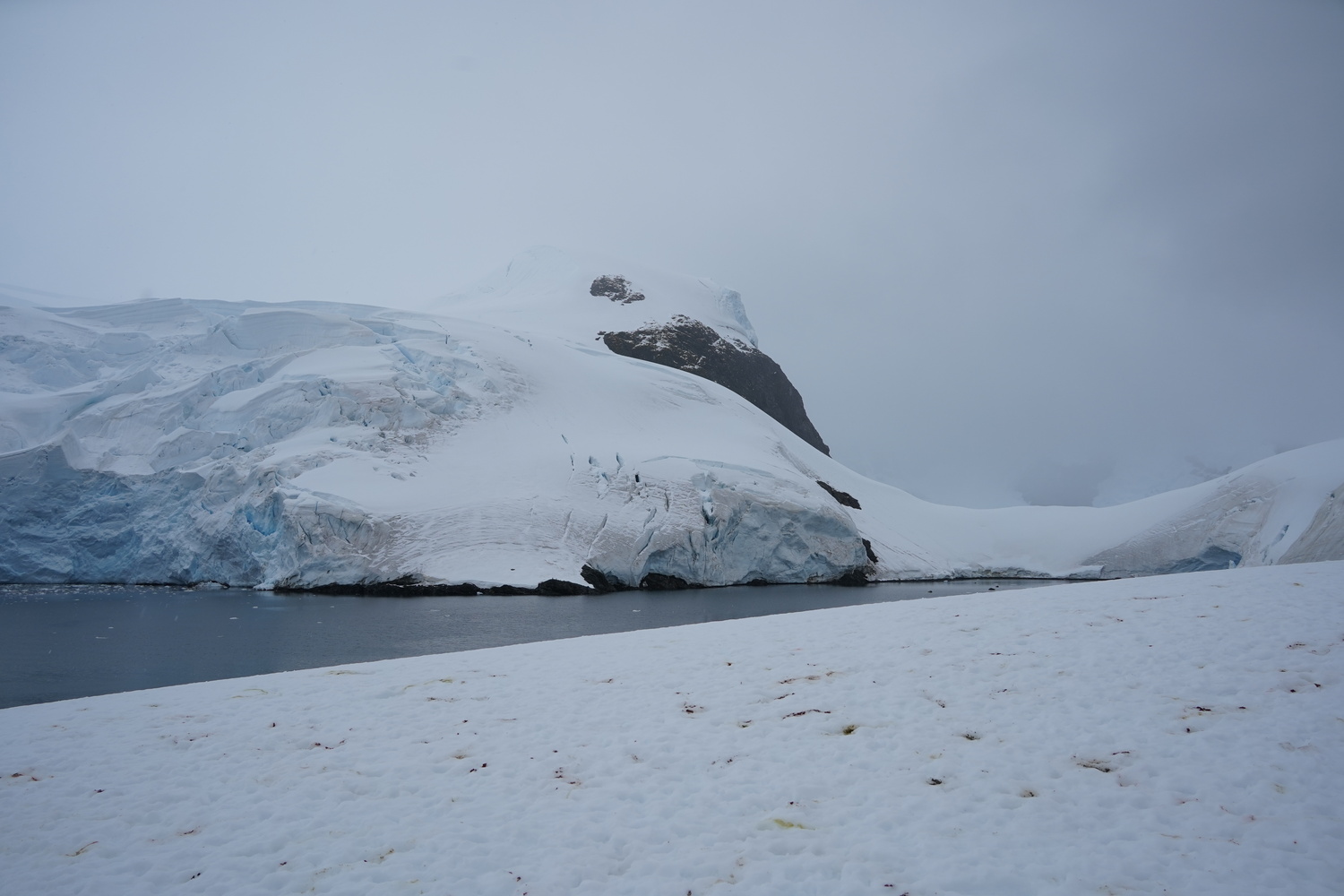 An image from Paradise Bay in Antarctica.